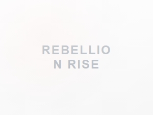 Bold Display Fonts for Powerful Sports Team Branding